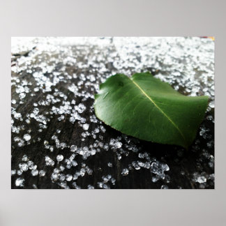 First Winter Weather Poster