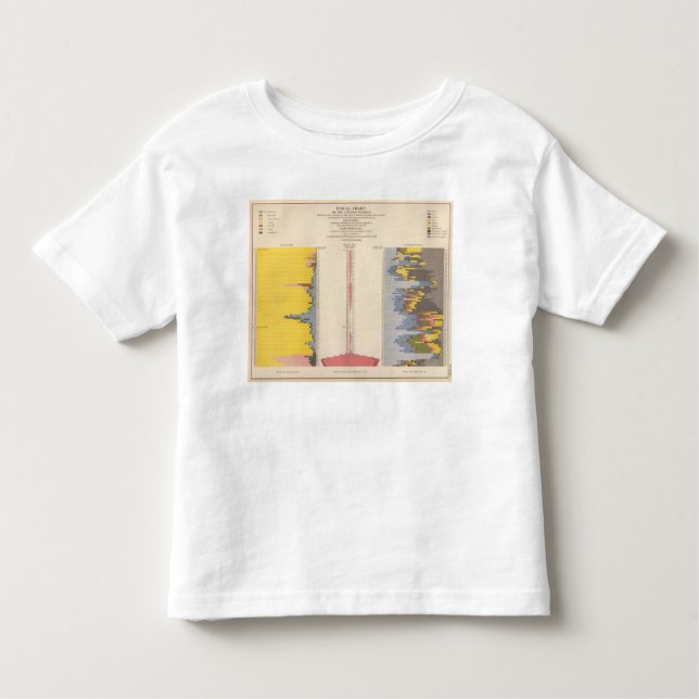 Fiscal Chart, Statistical US Lithograph Toddler T-Shirt (Front)