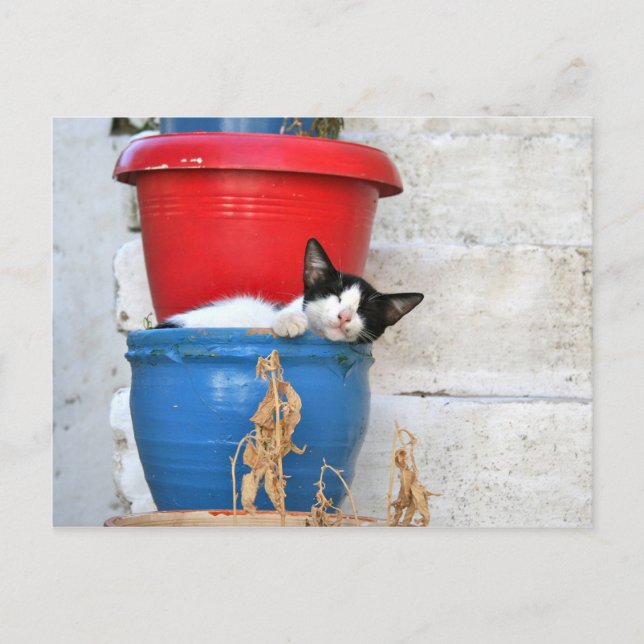 Fiscardo, Kefalonia Postcard (Front)