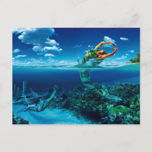 Fische - Postkarte Postcard (Front)