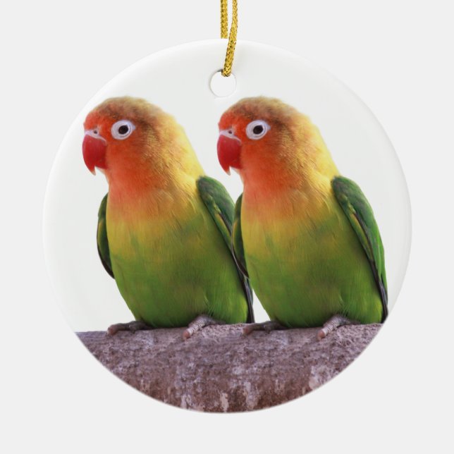 “Fischer's Lovebird” Ceramic Tree Decoration (Front)