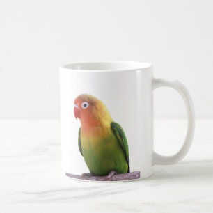 Fischer's Lovebird mug