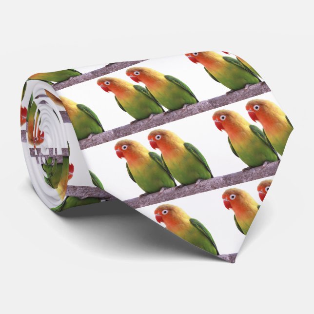 Fischer's Lovebird Tie (Rolled)