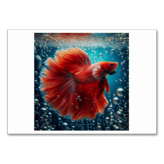 Fish (물고기) - Korean Flash Cards