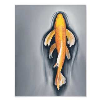 Fish 1 photo print
