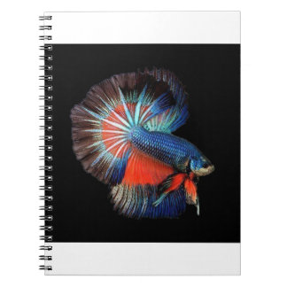 fish-5115102_1280 notebook