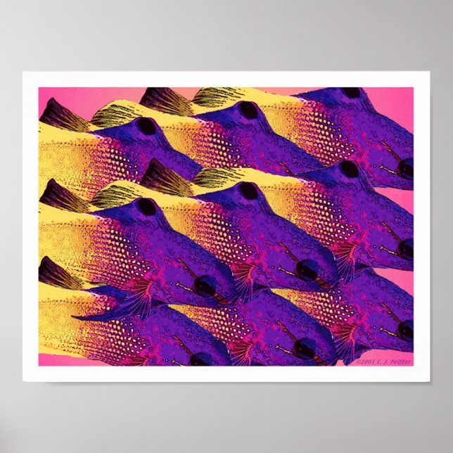 'Fish 6.2' Poster (Front)