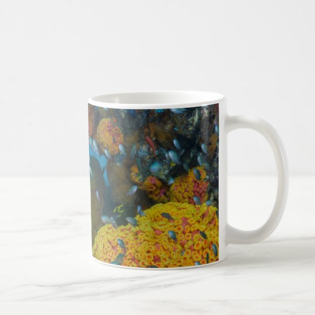 Fish Among Coral Reef Coffee Mug (Right)
