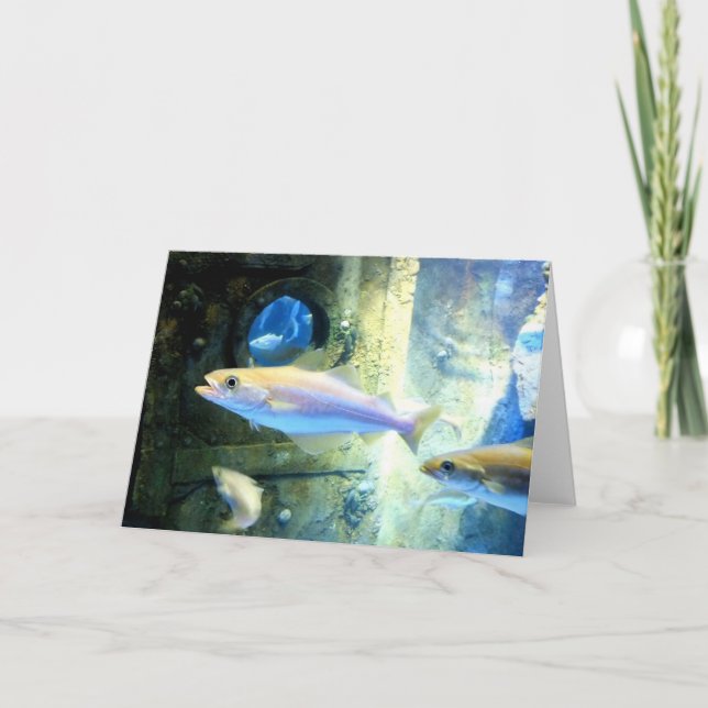 Fish and porthole holiday card (Front)