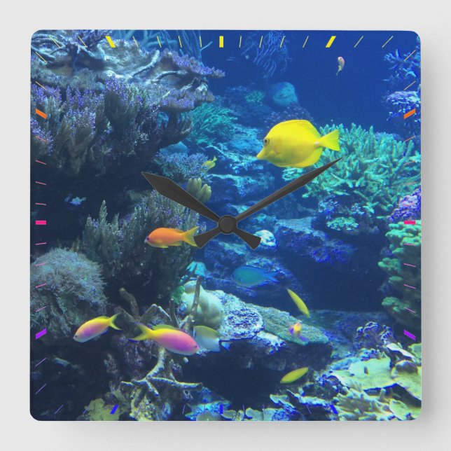 FISH AQUARIUM. TROPICAL FISH SQUARE WALL CLOCK (Front)