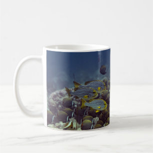 Fish at coral reef in the Oceanbackground,colourfu Coffee Mug