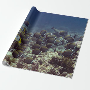 Fish at coral reef in the Oceanbackground,colourfu Wrapping Paper