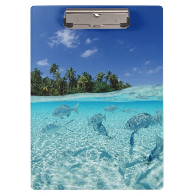 Fish at Sea Clipboard (Front)