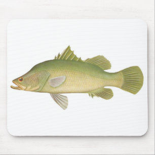 Fish - Barramundi - Lates calcarifer Mouse Pad