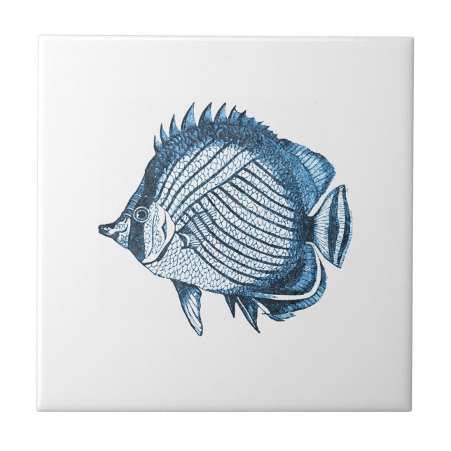 Fish beach nautical ocean coastal sea blue ceramic tile (Front)