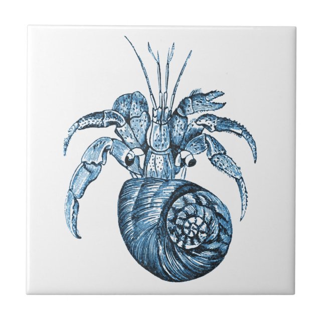 Fish beach ocean coastal nautical sea blue gifts ceramic tile (Front)