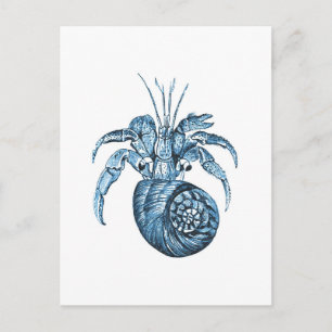 Fish beach ocean coastal nautical sea blue gifts postcard