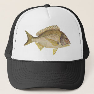 Fish - Black Bream - Mylio australis Trucker Hat