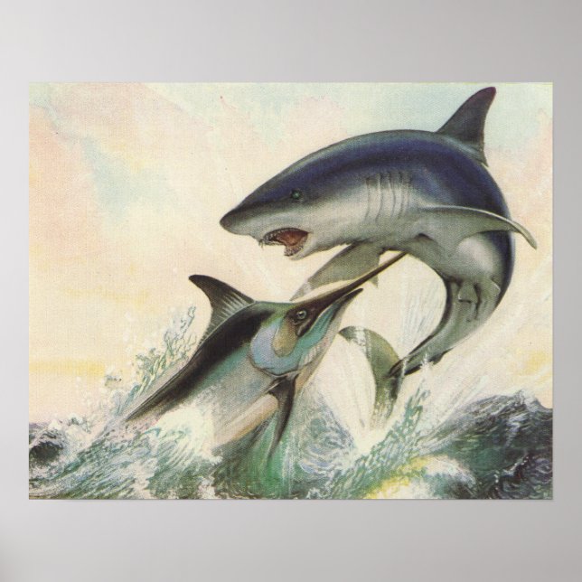 Fish - Black Marlin & Mako Shark Poster (Front)