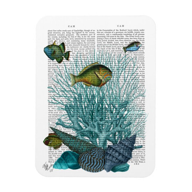 Fish, Blue Shells and Corals Magnet (Vertical)