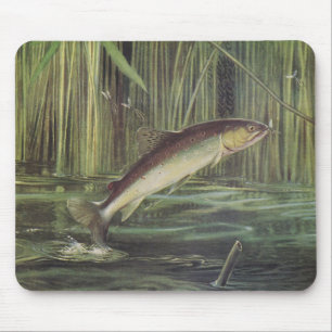 Fish - Brown Trout - Salmo trutta Mouse Pad