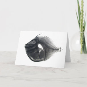 Fish Card