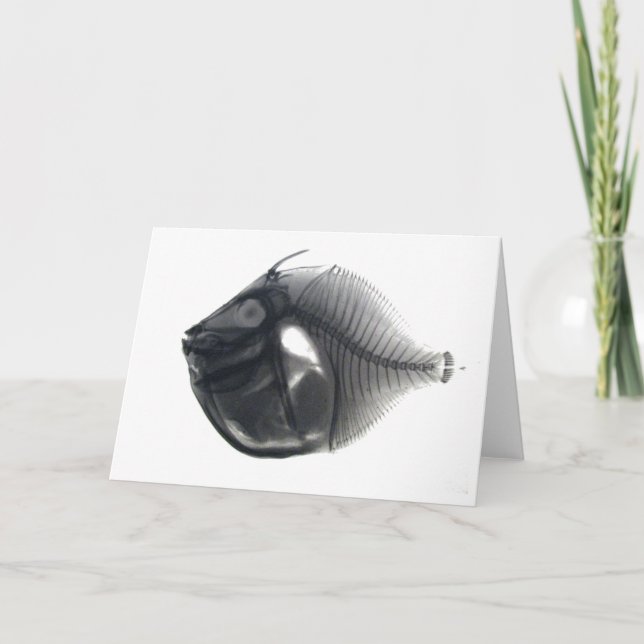 Fish Card (Front)