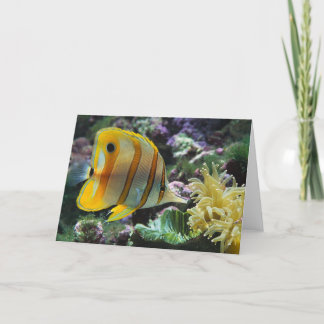 Fish Card