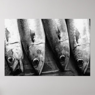 Fish closeup in black and white poster