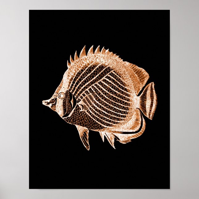 Fish coastal nautical ocean beach sea black poster (Front)