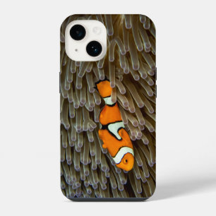 Fish, Coral, Underwater iPhone 14 Case