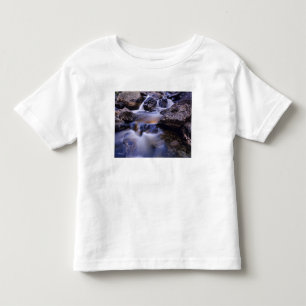 Fish Creek Falls near Steamboat Springs Colorado Toddler T-Shirt