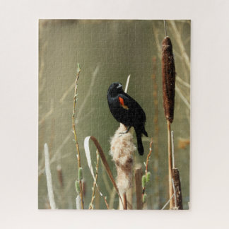 Fish Creek Red Wing Blackbird Jigaw Puzzle