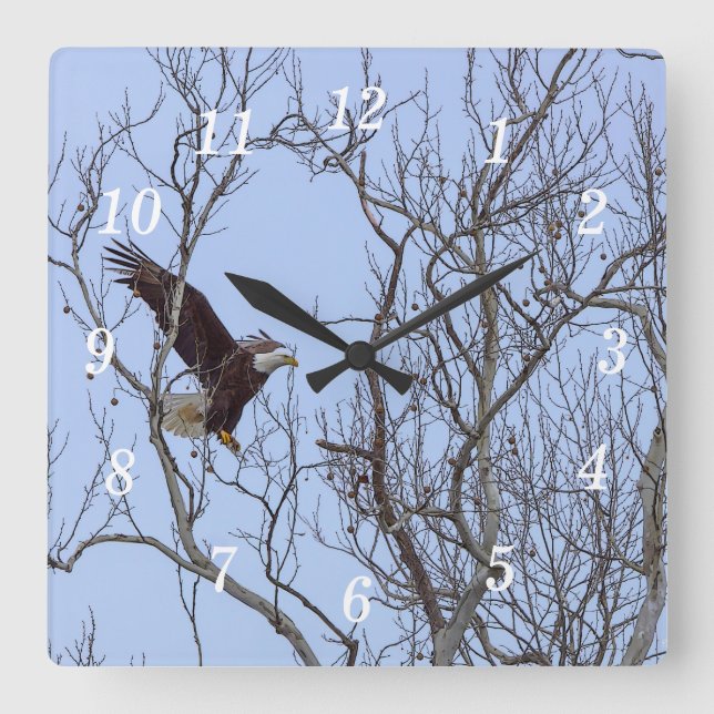 Fish Dinner Delivery Painterly Wall Clock (Front)