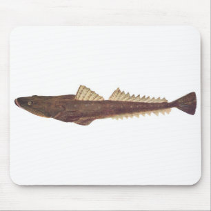 Fish - Dusky Flathead - Platycephalus fuscus Mouse Pad
