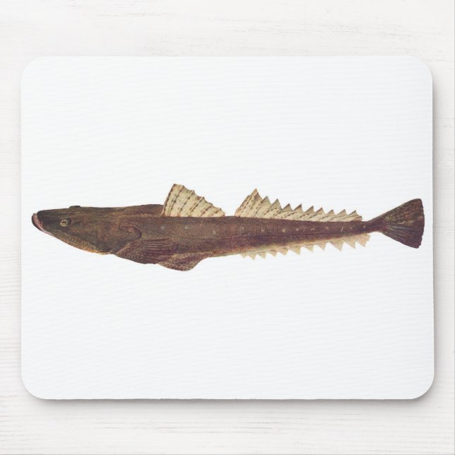 Fish - Dusky Flathead - Platycephalus fuscus Mouse Pad (Front)