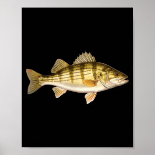 Fish Ed B Er Fishing Art For Anglers Poster