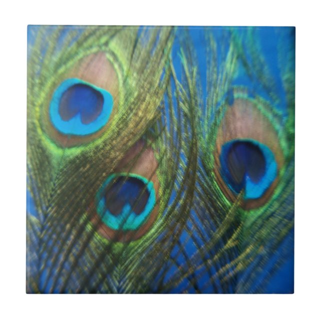 Fish Eye Peacock Feathers Tile (Front)