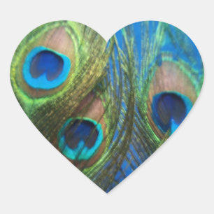 Fish Eye Peacock Still Life Heart Shaped Stickers