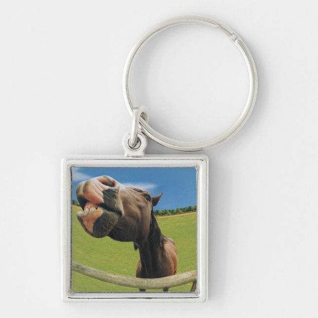 Fish-eye View of Horse Key Ring (Front)