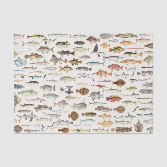 Fish Fishing Birthday Party Tissue Paper (Front)