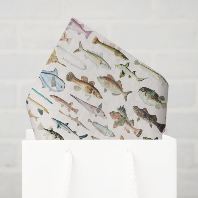 Fish Fishing Decoupage Tissue Paper (Gift Bag)