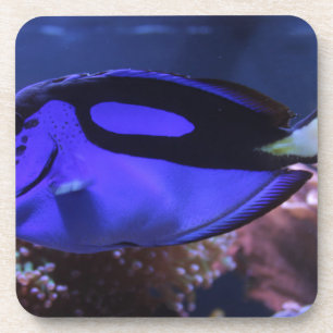 fish fishing sea custom personalise Anniversaries Coaster