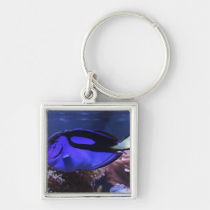 fish fishing sea custom personalise Anniversaries Key Ring