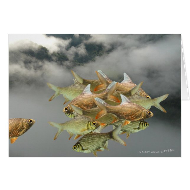 Fish & Fog Card (Front Horizontal)