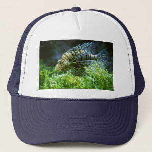 FISH HAT