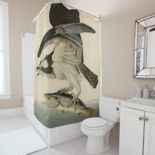Fish Hawk, Osprey, from Audubon's Birds of America Shower Curtain