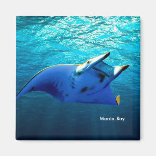 Fish Image for Square-Magnet Magnet