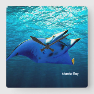 Fish Image for Square-Wall-Clock Square Wall Clock