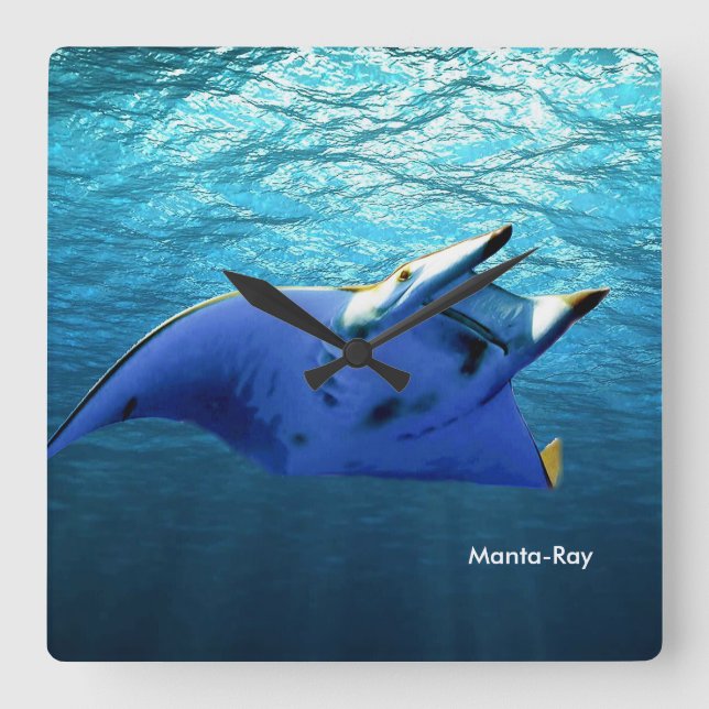 Fish Image for Square-Wall-Clock Square Wall Clock (Front)